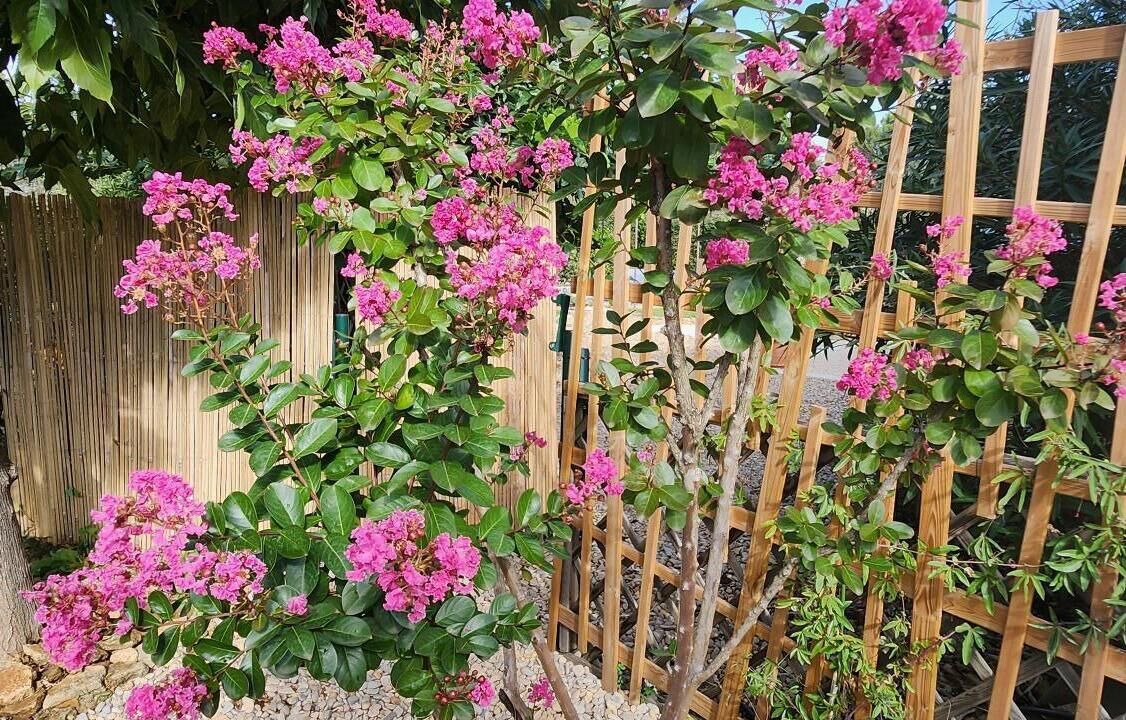 Photo of Outdoor in Suze-la-Rousse