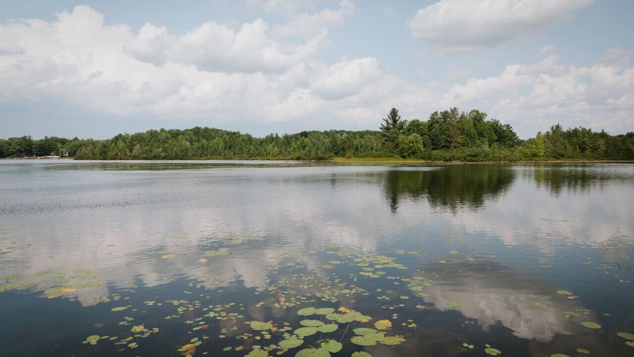 Photo of Outdoor in Big Rapids