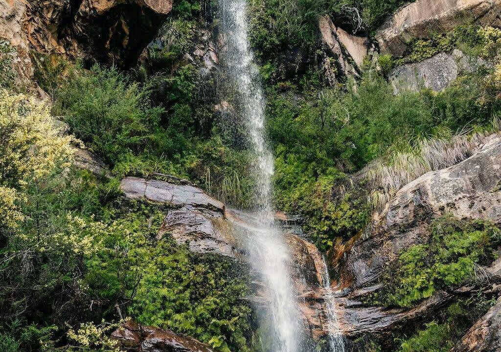 Photo of Others in Dadswells Bridge