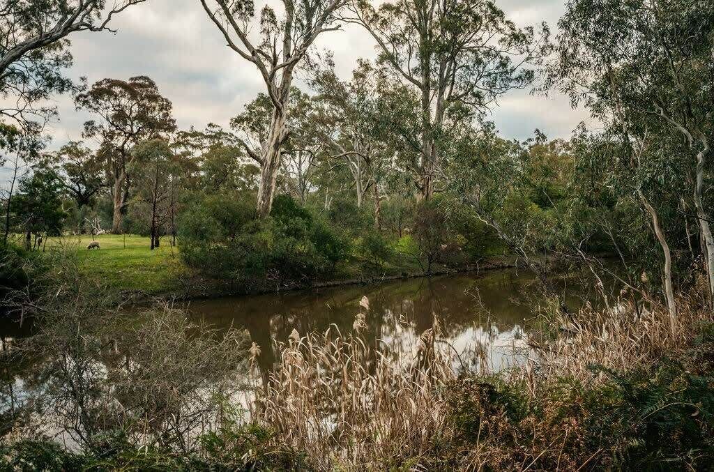 Photo of Others in Dadswells Bridge