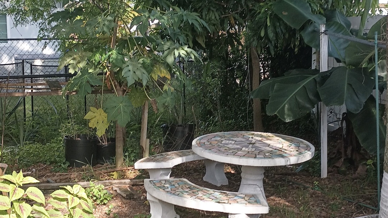 Photo of Patio Balcony in Miramar