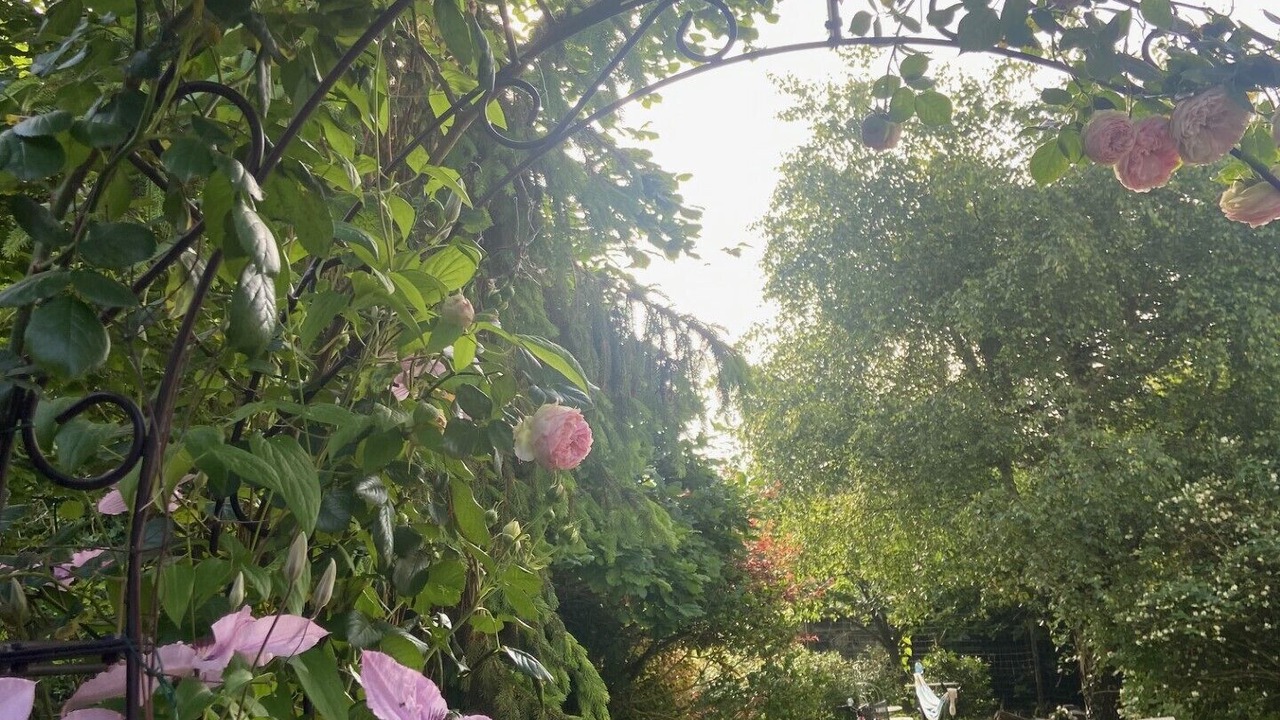 Photo of Outdoor in Fleurines