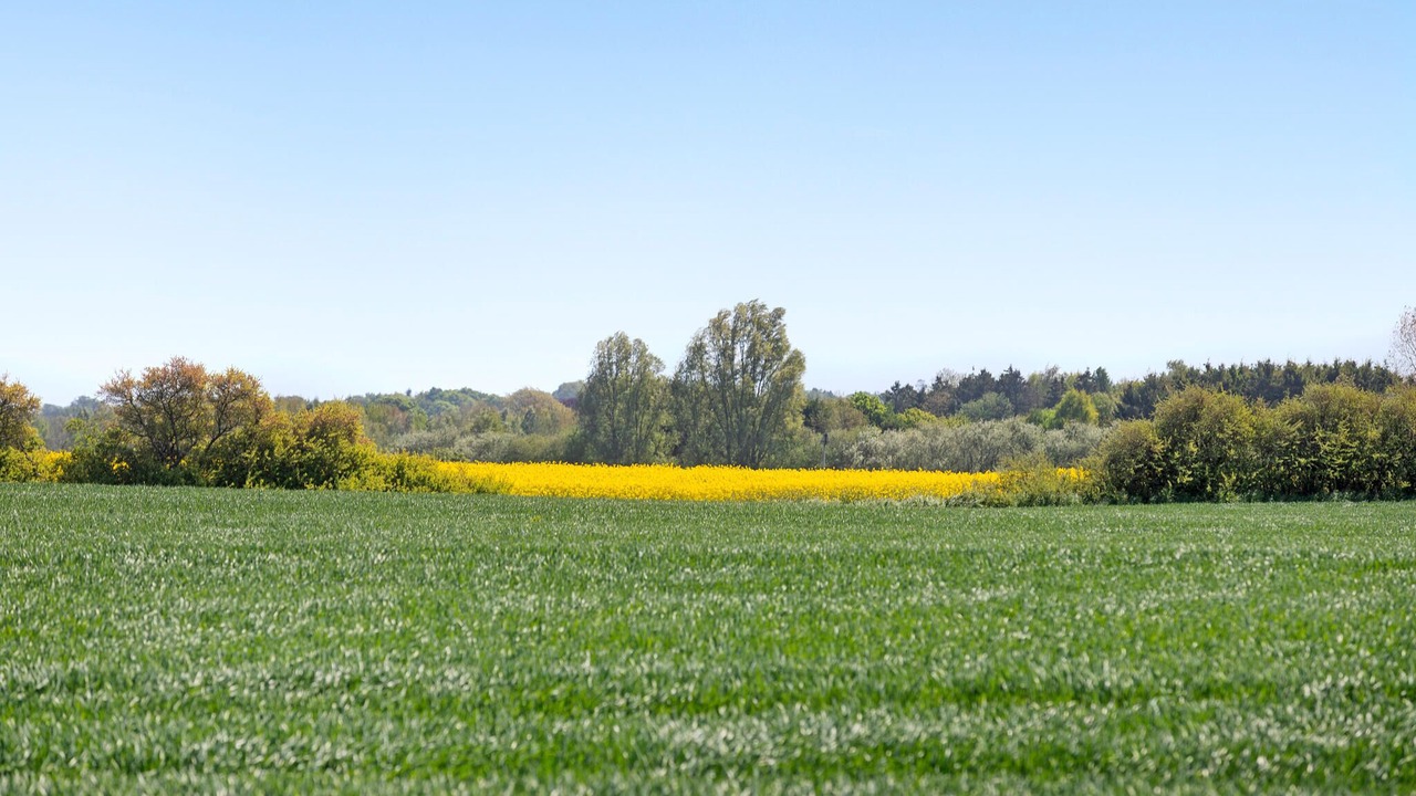 Photo of Bedroom in Haslev