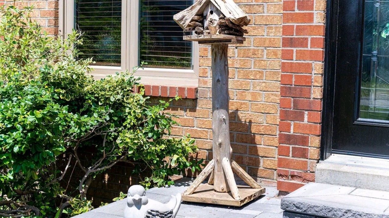 Photo of Outdoor in Newmarket