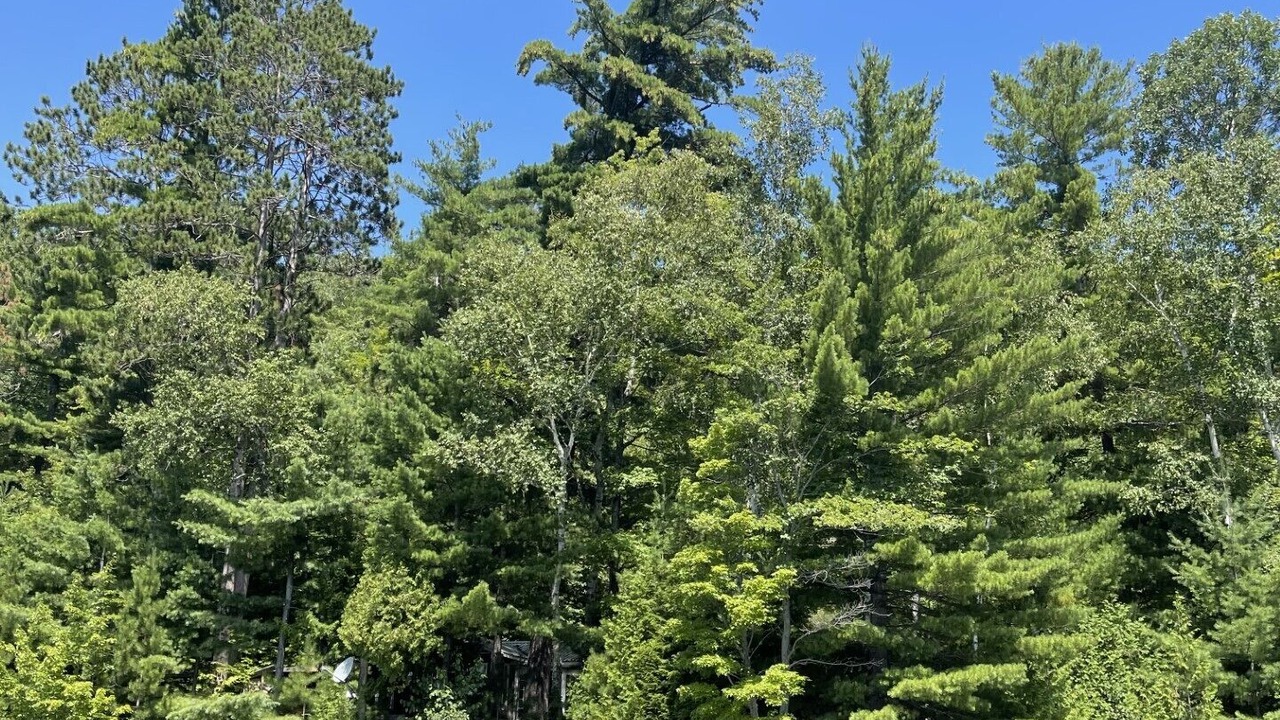 Photo of Others in Bishop Corners