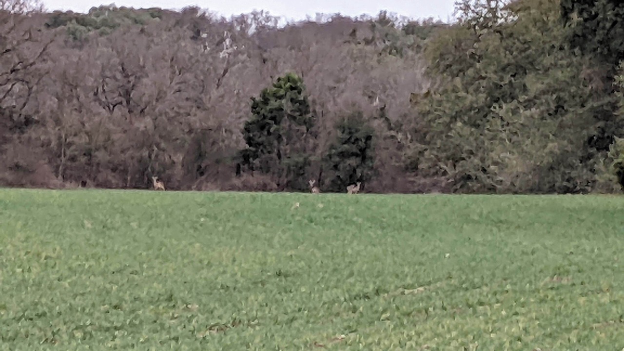 Photo of Outdoor in Woodway