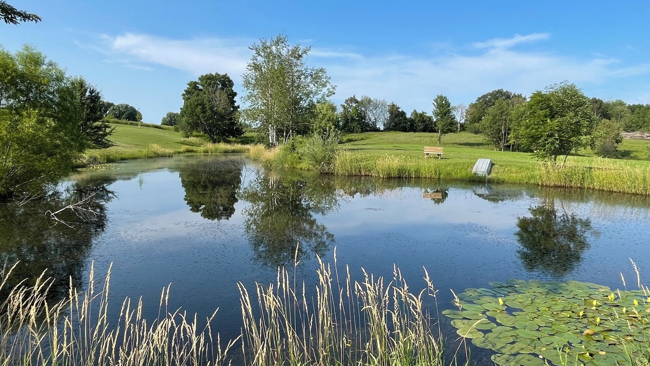 Photo of Outdoor in Bristol Hills