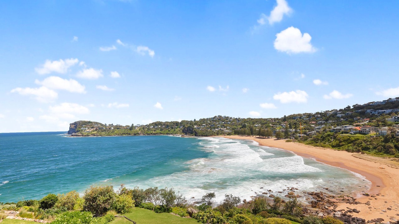 Photo of Others in Whale Beach