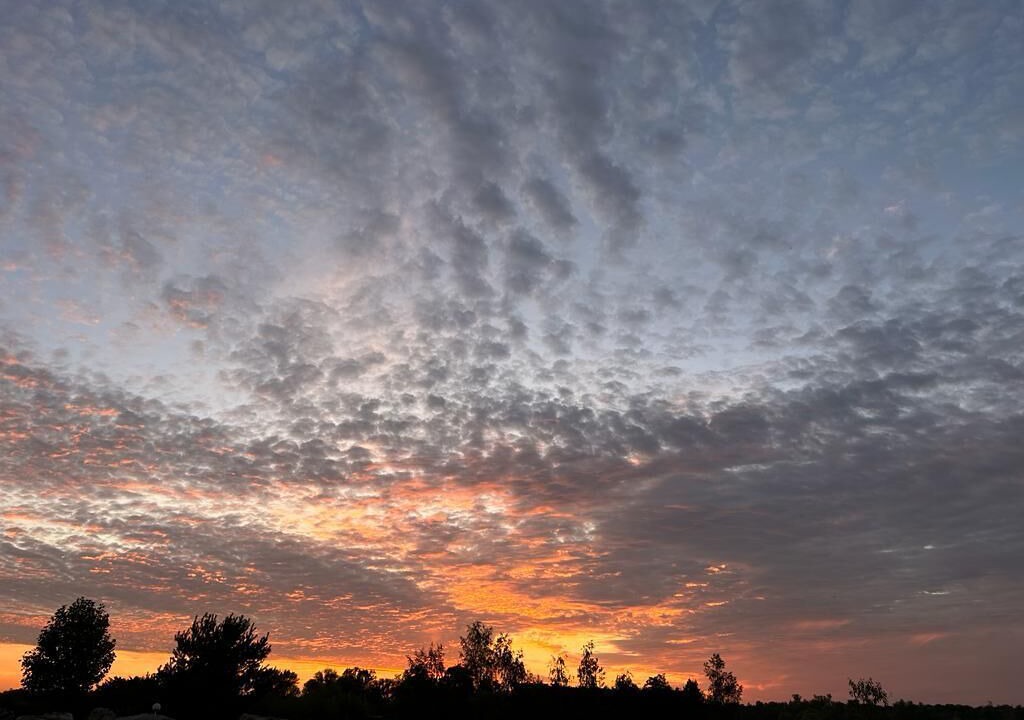 Photo of Others in Trilbardou