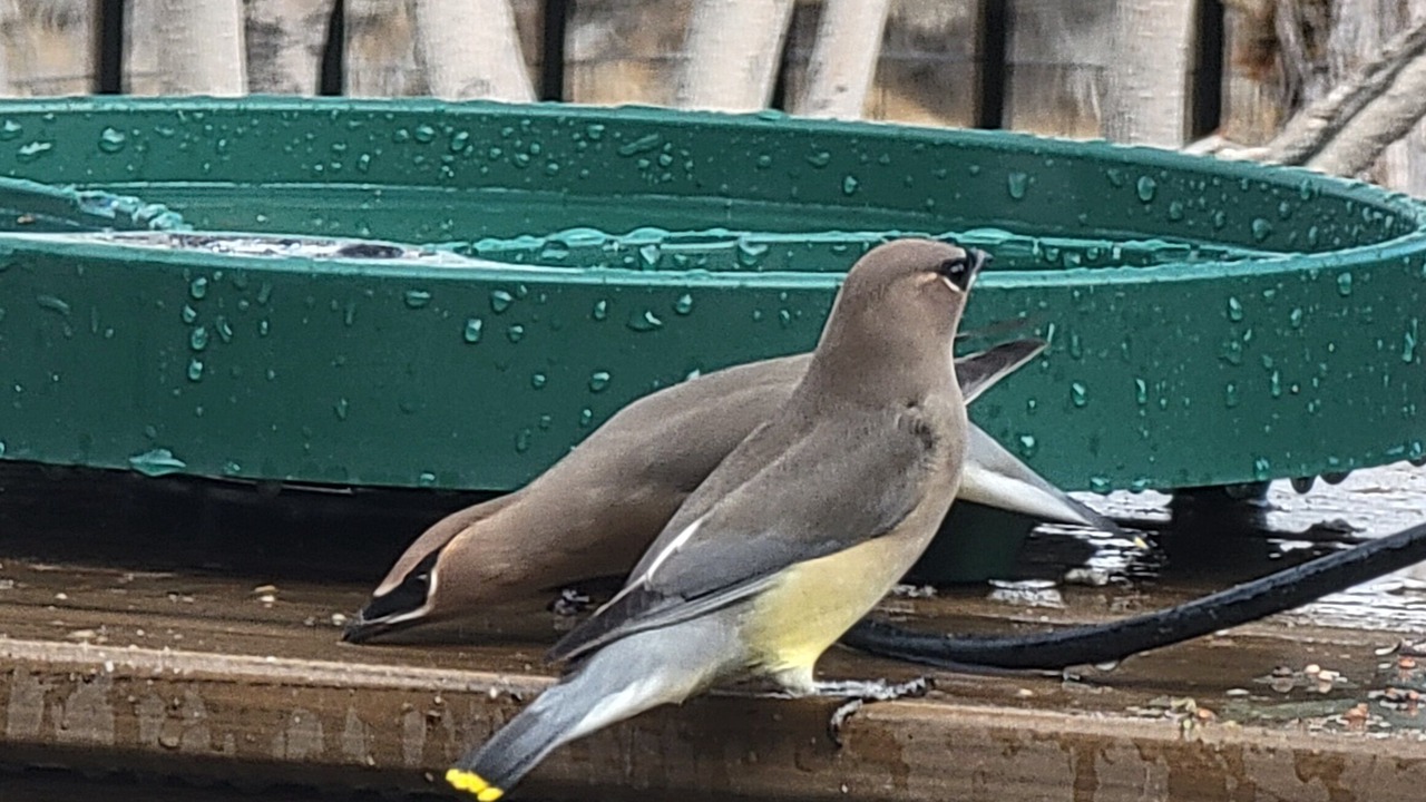 Photo of Others in Reno