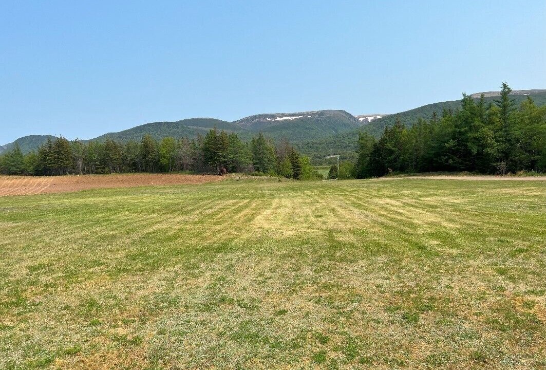 Photo of Others in Margaree