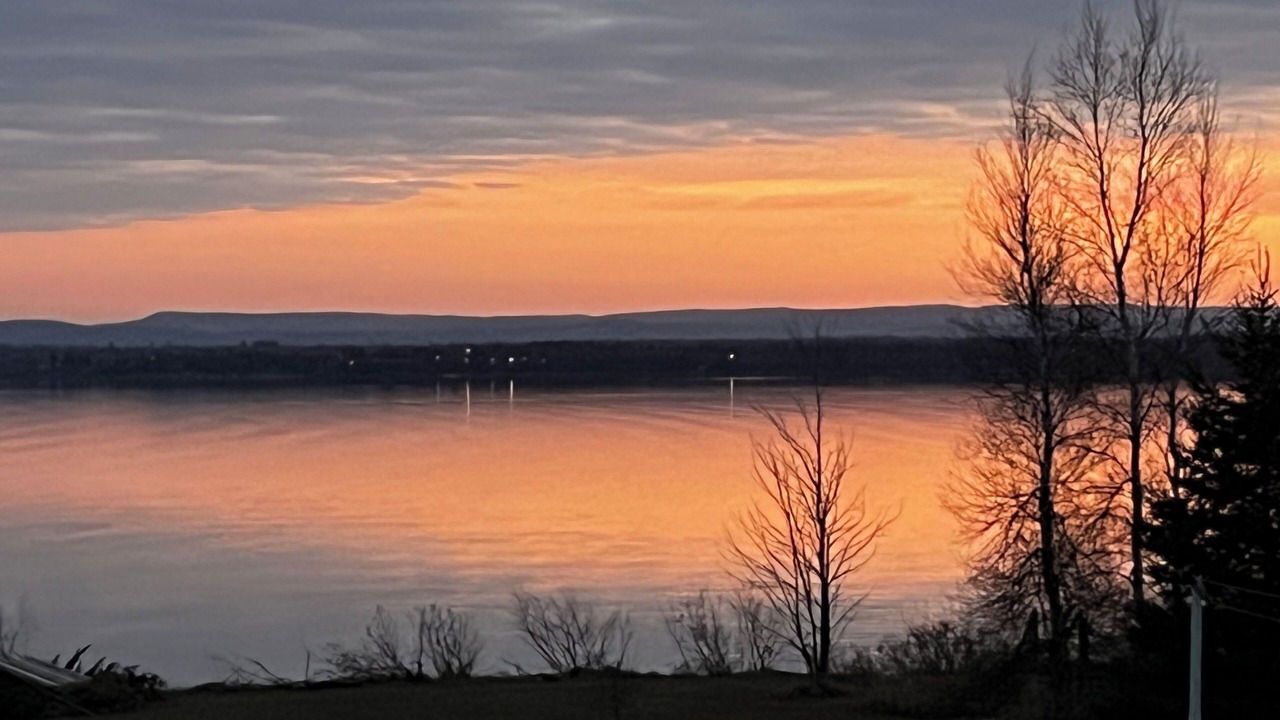 Photo of Others in Malagash