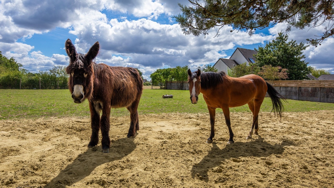 Photo of Others in Villaines-les-Rochers