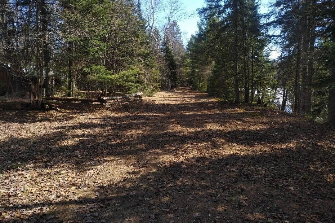 Photo of Outdoor in Dysart et al