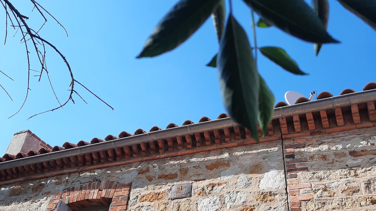 Photo of Outdoor in Orleat