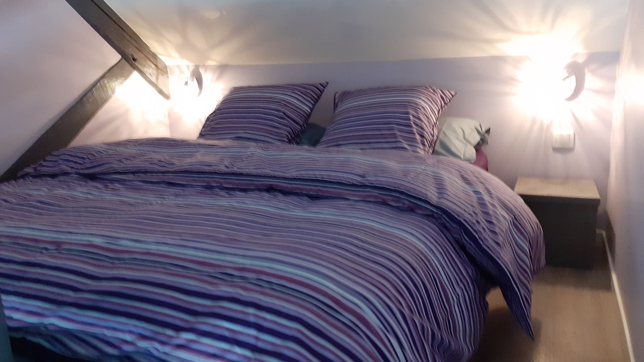 Photo of Bedroom in Beaune