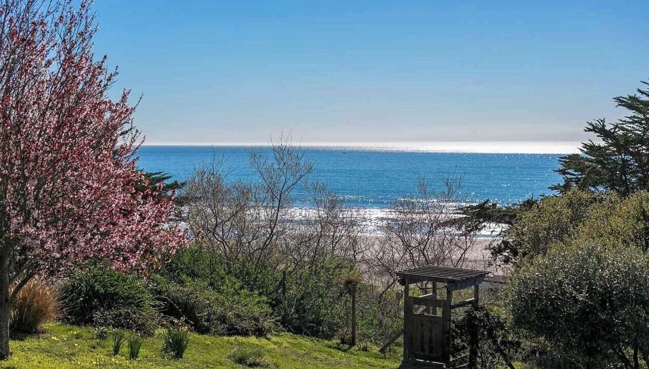 Photo of Others in Stinson Beach