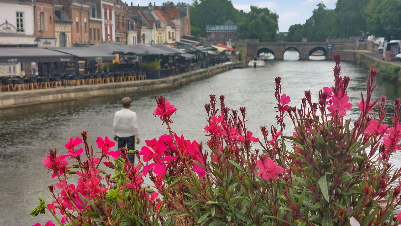 Photo of Others in Bucquoy