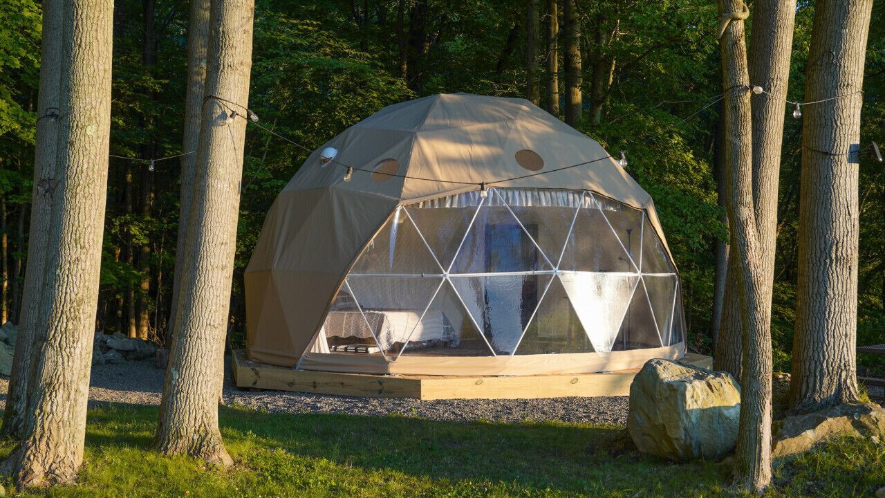 Photo of Others in Vernon