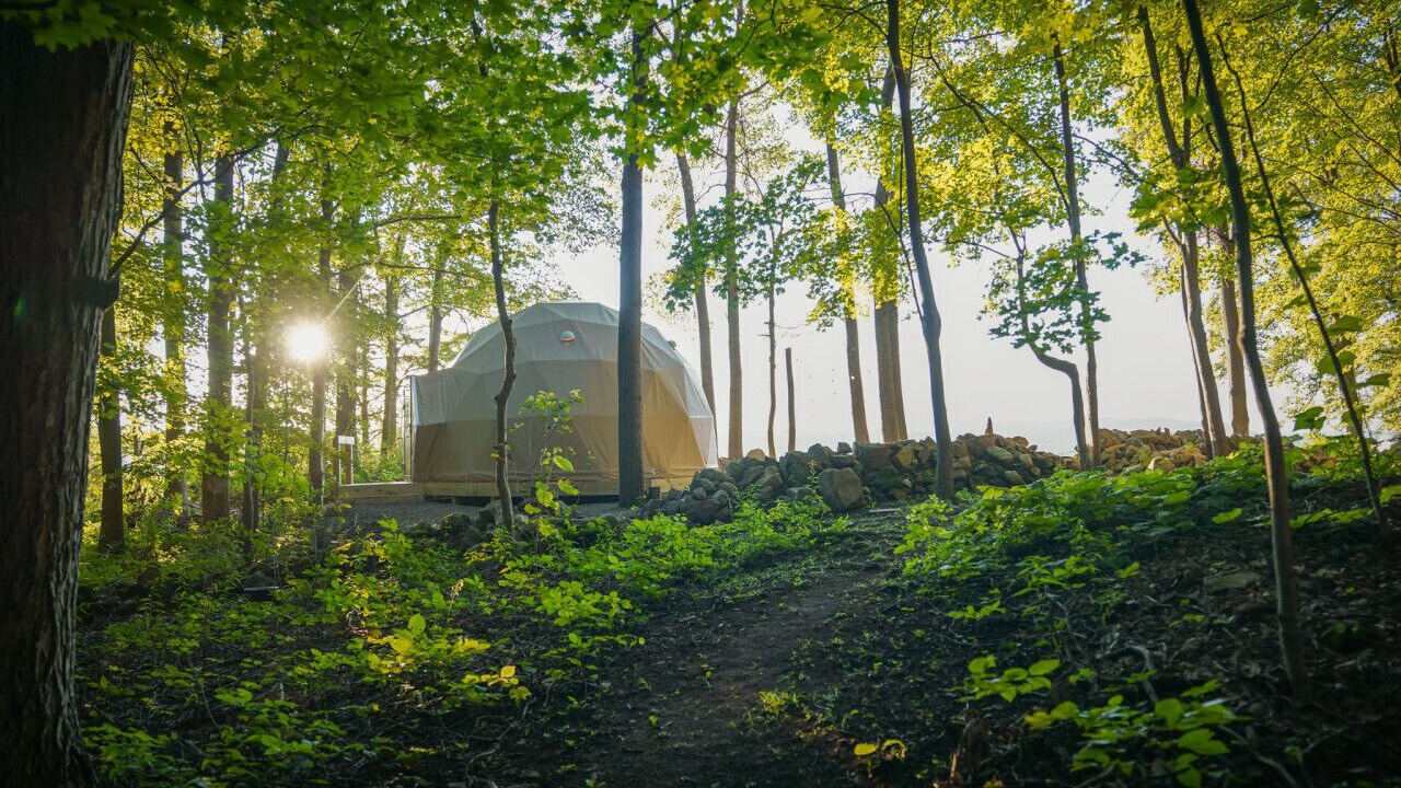 Photo of Others in Vernon