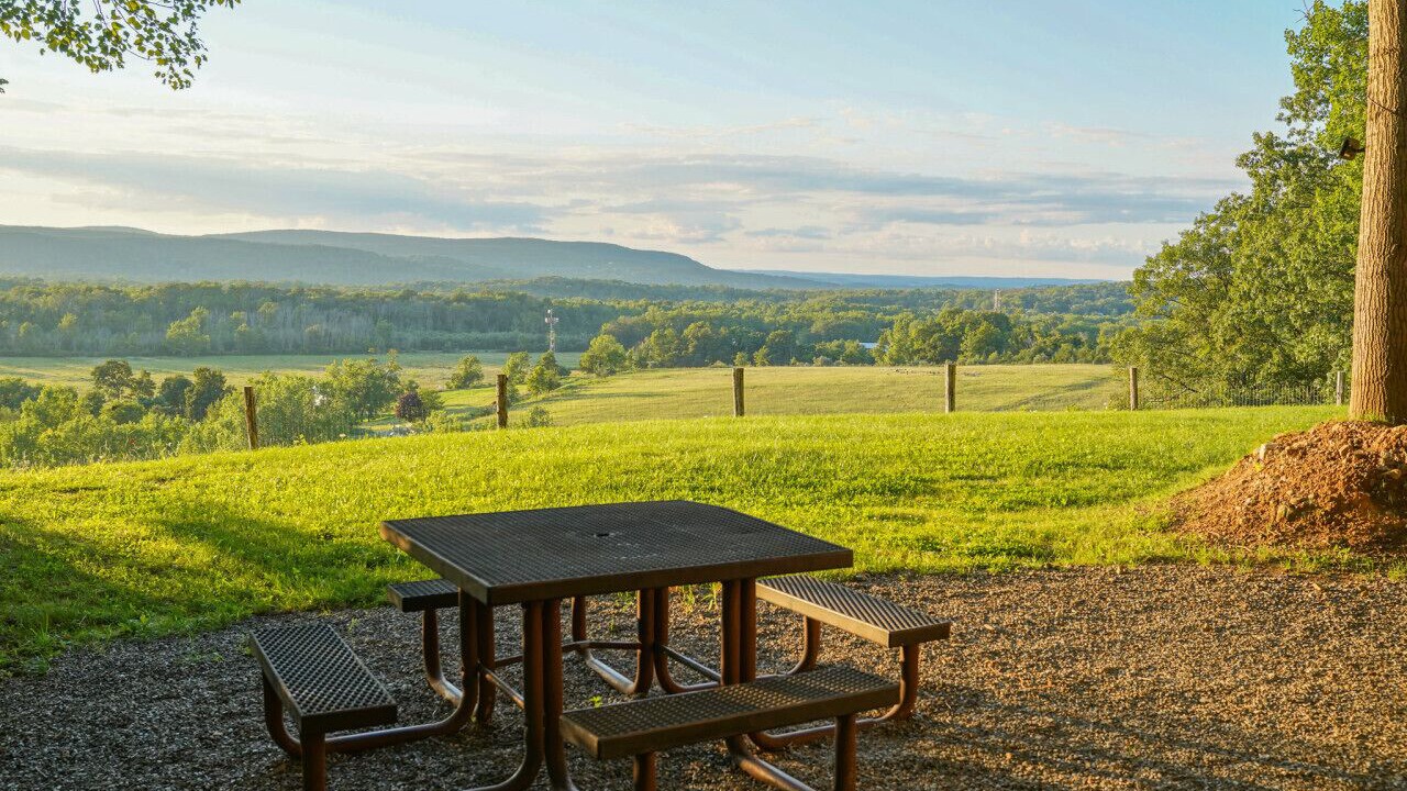 Photo of Others in Vernon