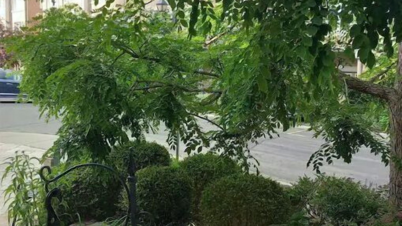 Photo of Outdoor in Humber Bay