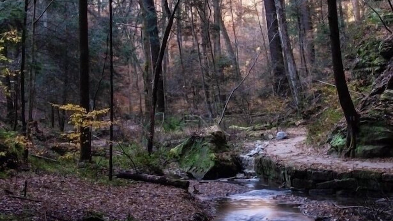 Photo of Outdoor in Hallsville