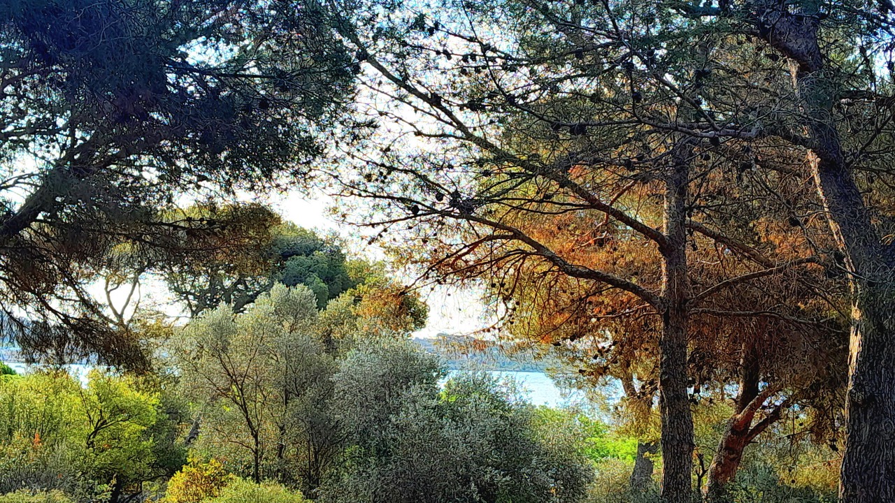 Photo of Others in Poussan