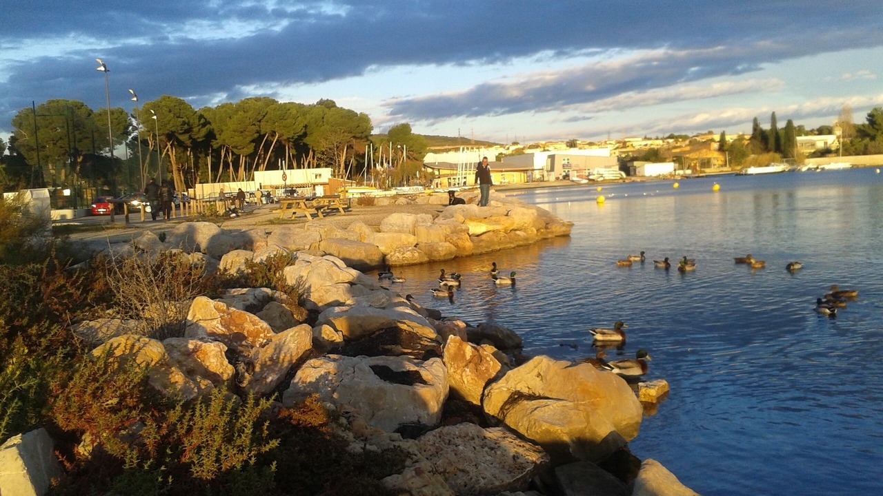 Photo of Others in Poussan