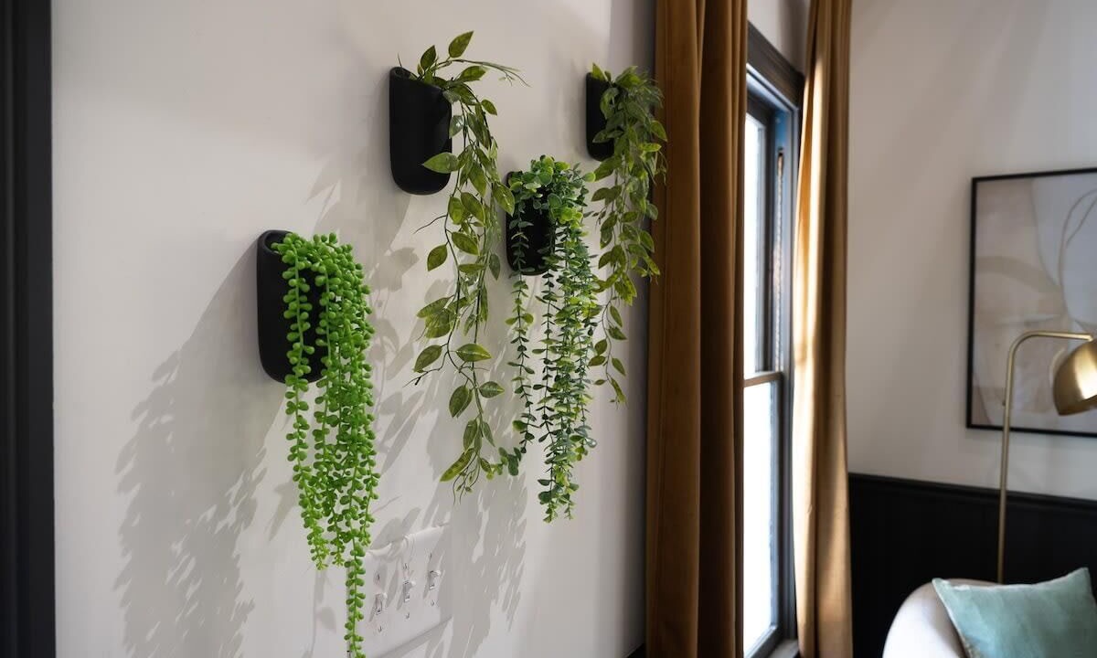 Photo of Others in Cabbagetown