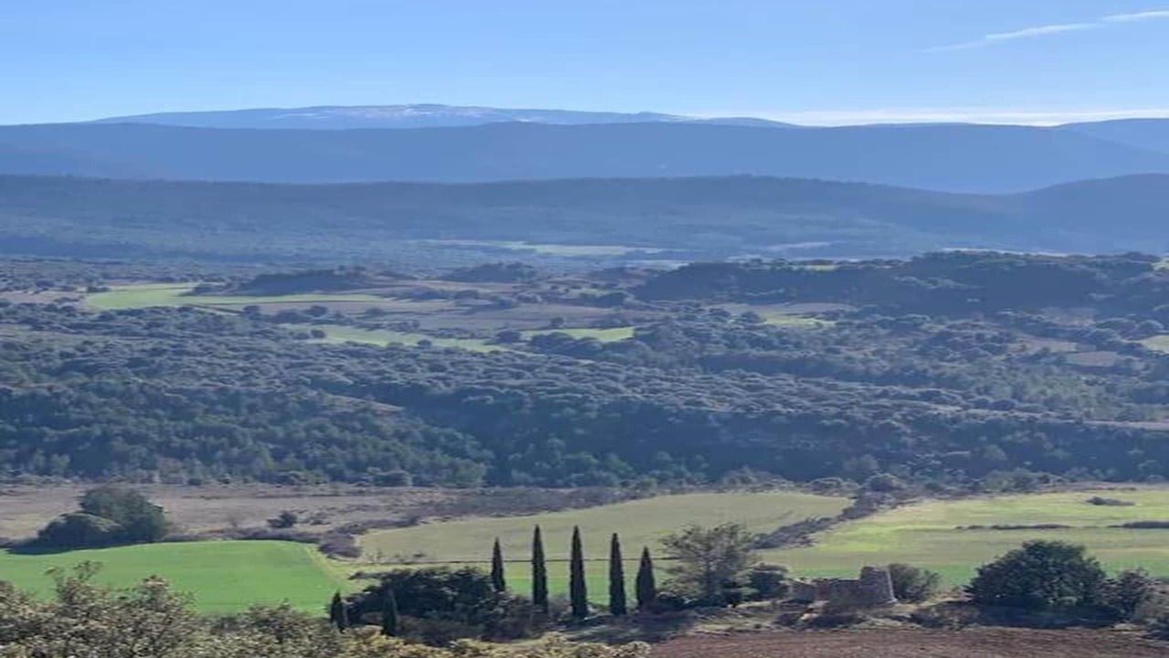 Photo of Others in Quillan