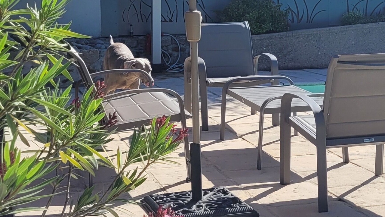 Photo of Patio Balcony in Monistrol-sur-Loire