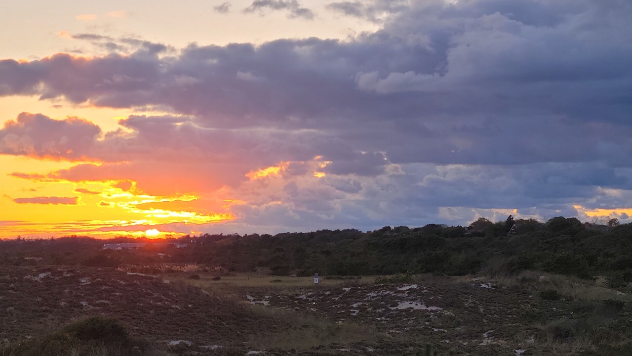 Photo of Outdoor in Amagansett Dunes
