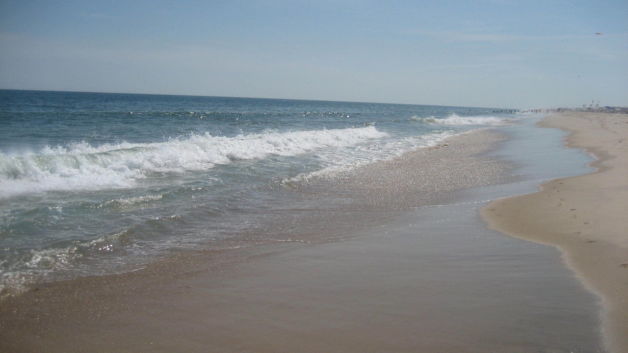 Photo of Others in Amagansett Dunes