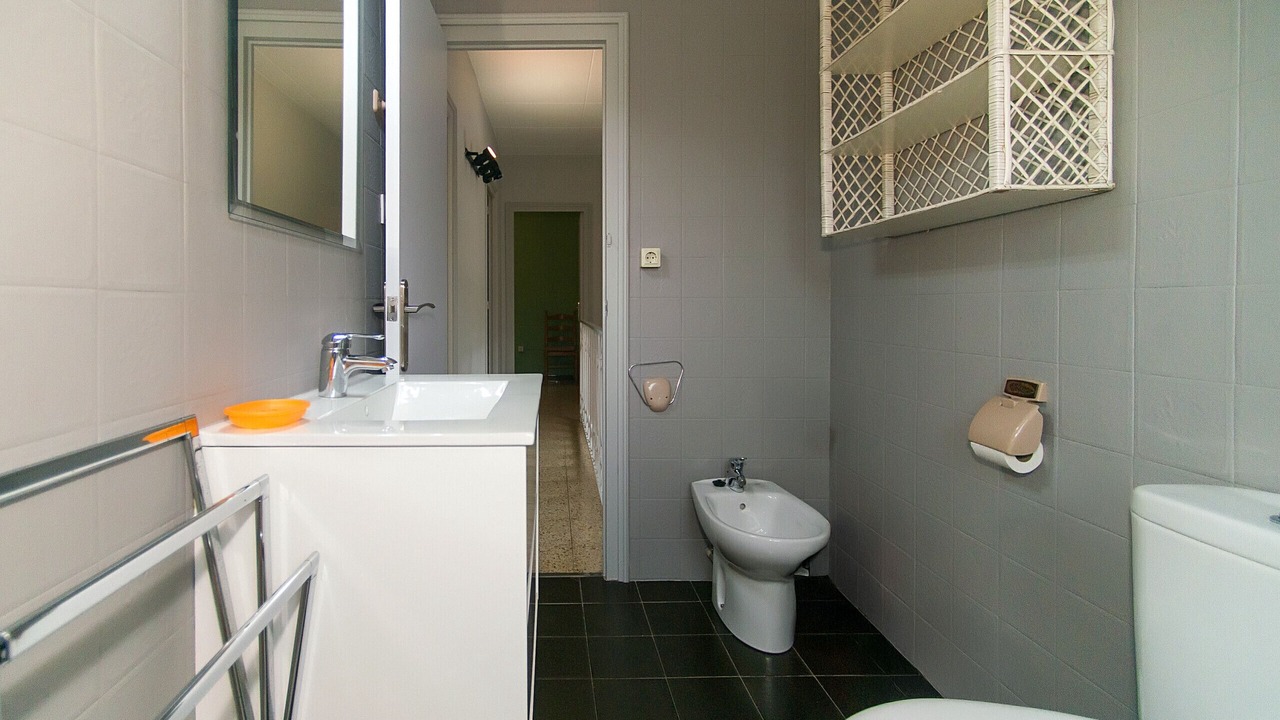 Photo of Bathroom in Empuriabrava