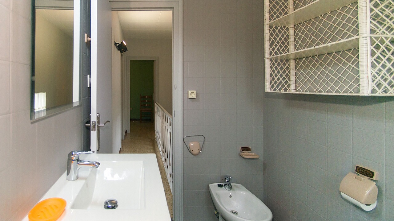 Photo of Bathroom in Empuriabrava