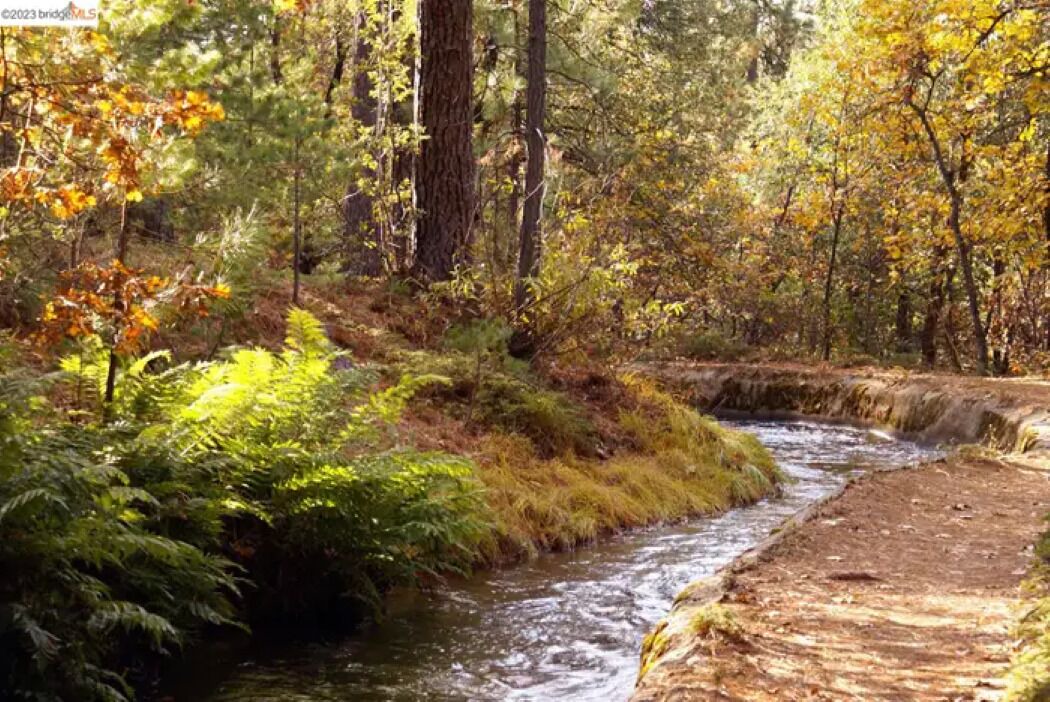 Photo of Outdoor in Phoenix Lake-Cedar Ridge