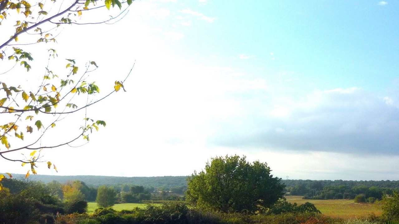 Photo of Outdoor in La Bruguiere