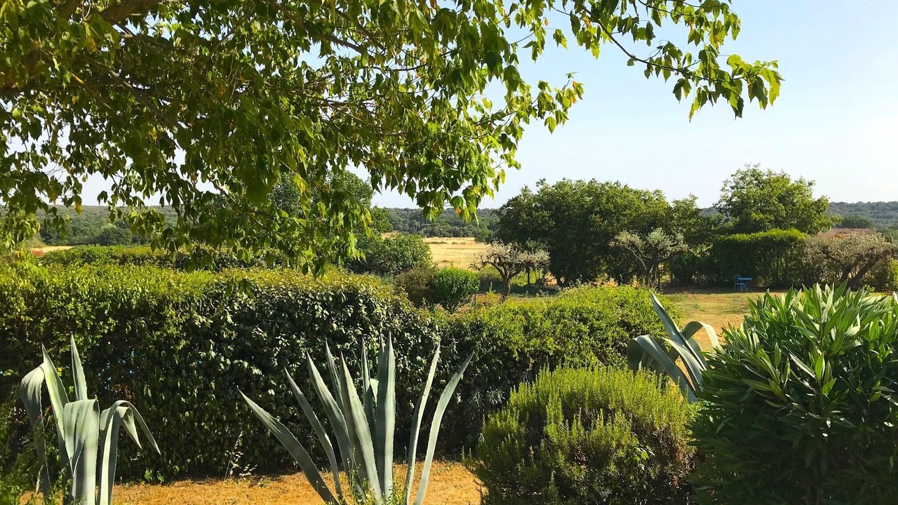 Photo of Outdoor in La Bruguiere
