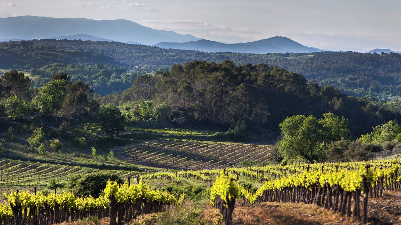 Photo of Outdoor in La Bruguiere