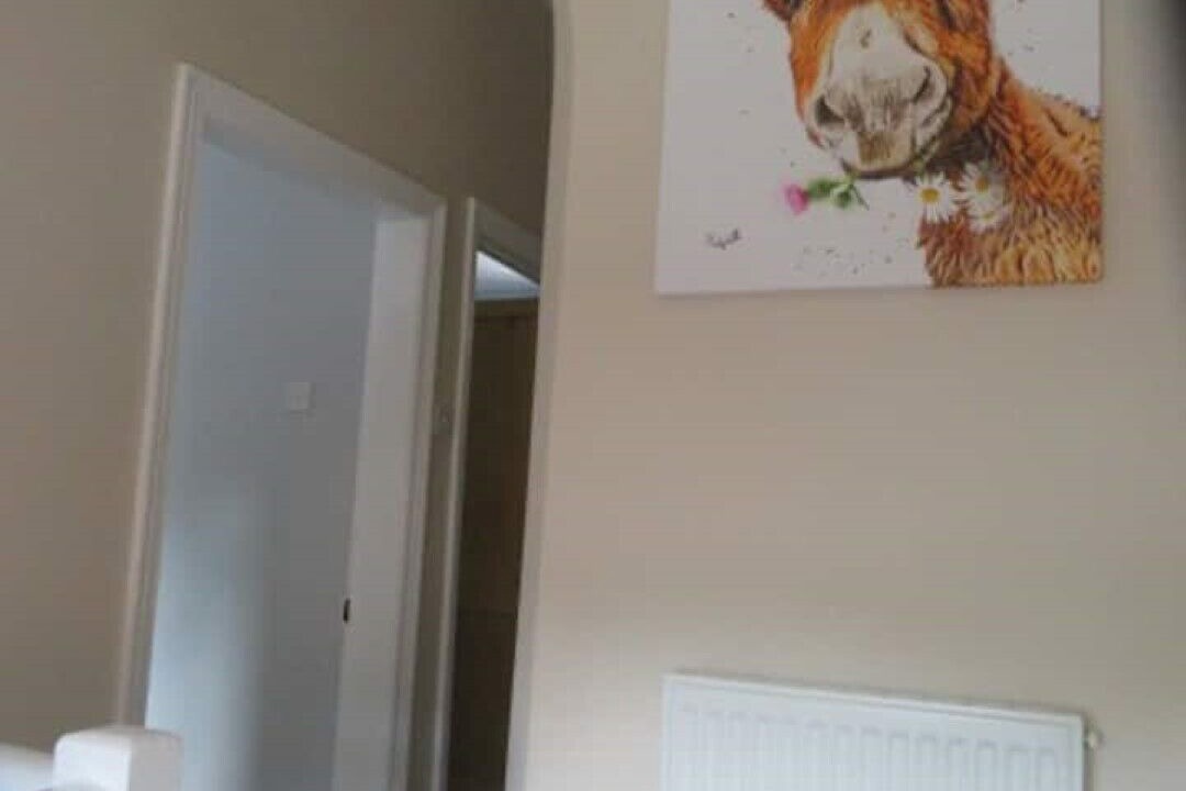 Photo of Others in Croft On Tees