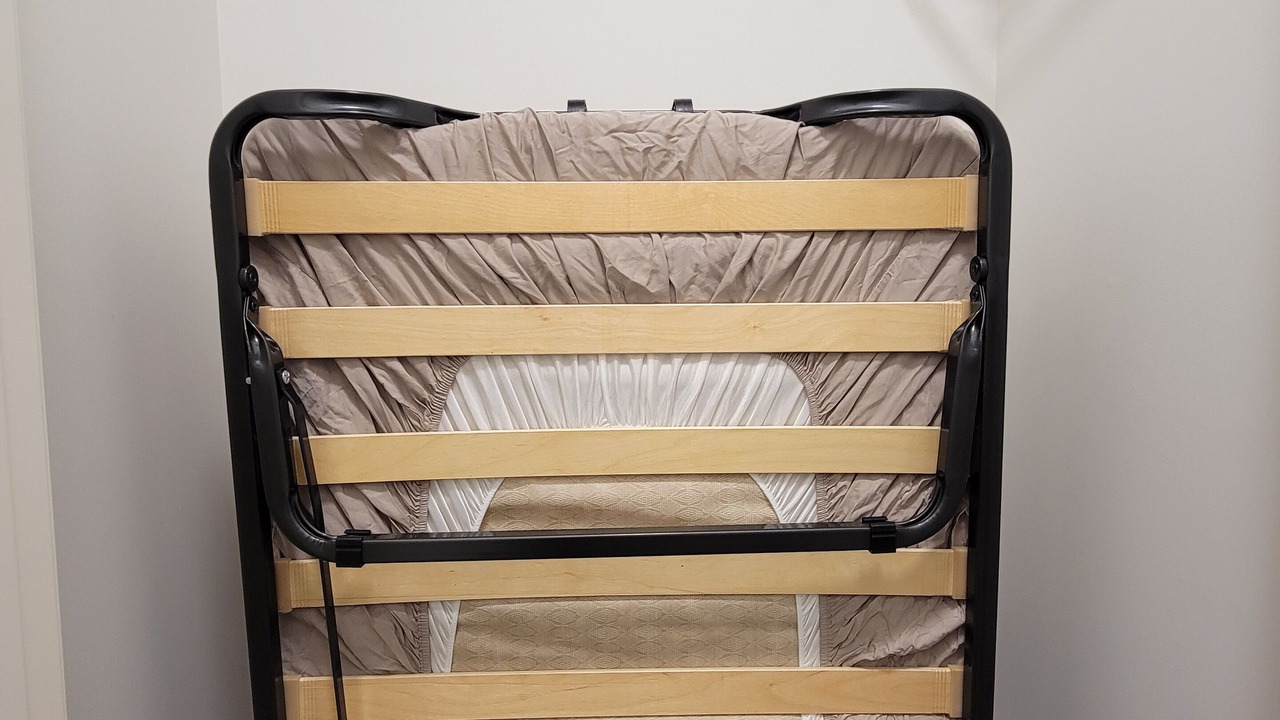 Photo of Others in Arbour Lake