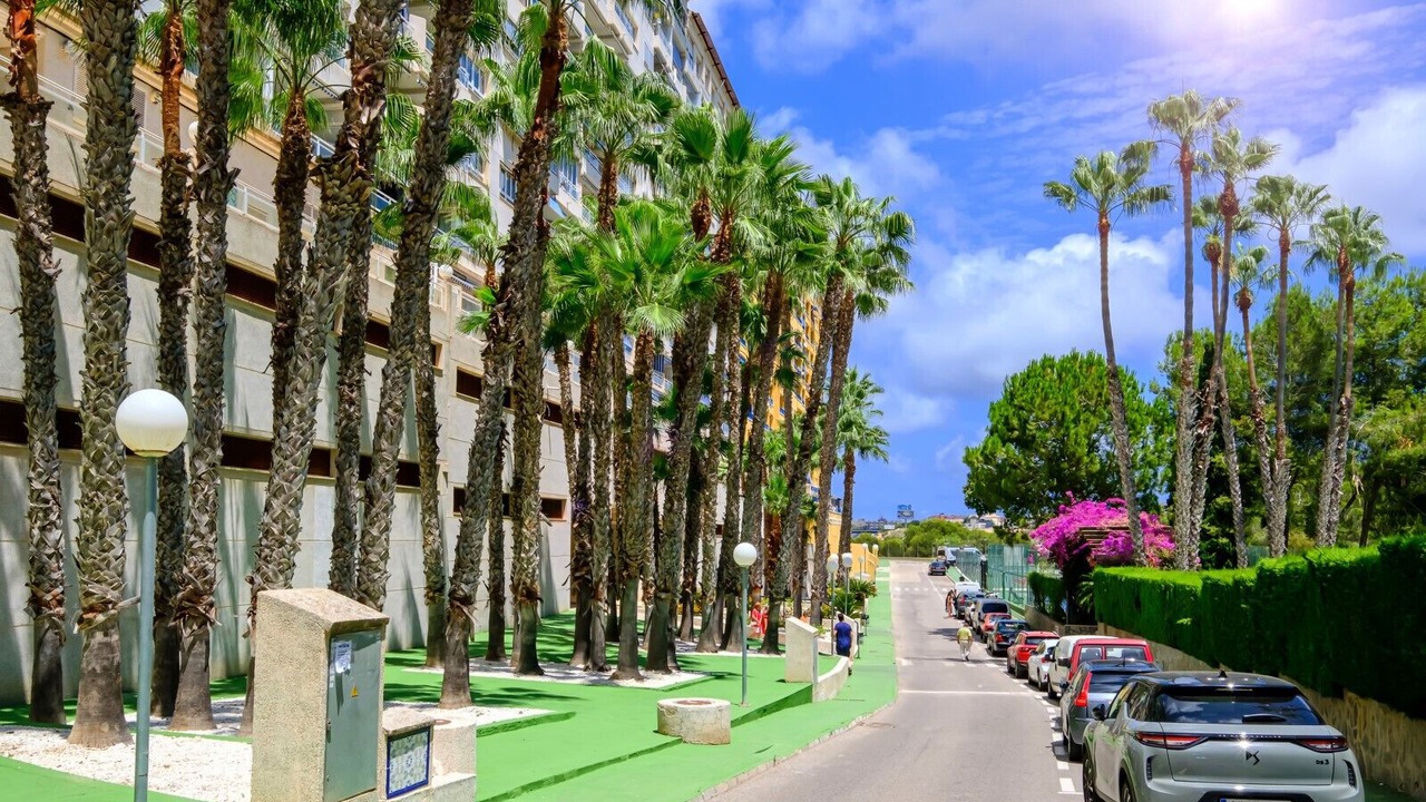 Photo of Others in Dehesa de Campoamor