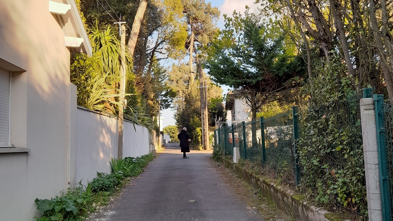 Photo of Outdoor in Royan