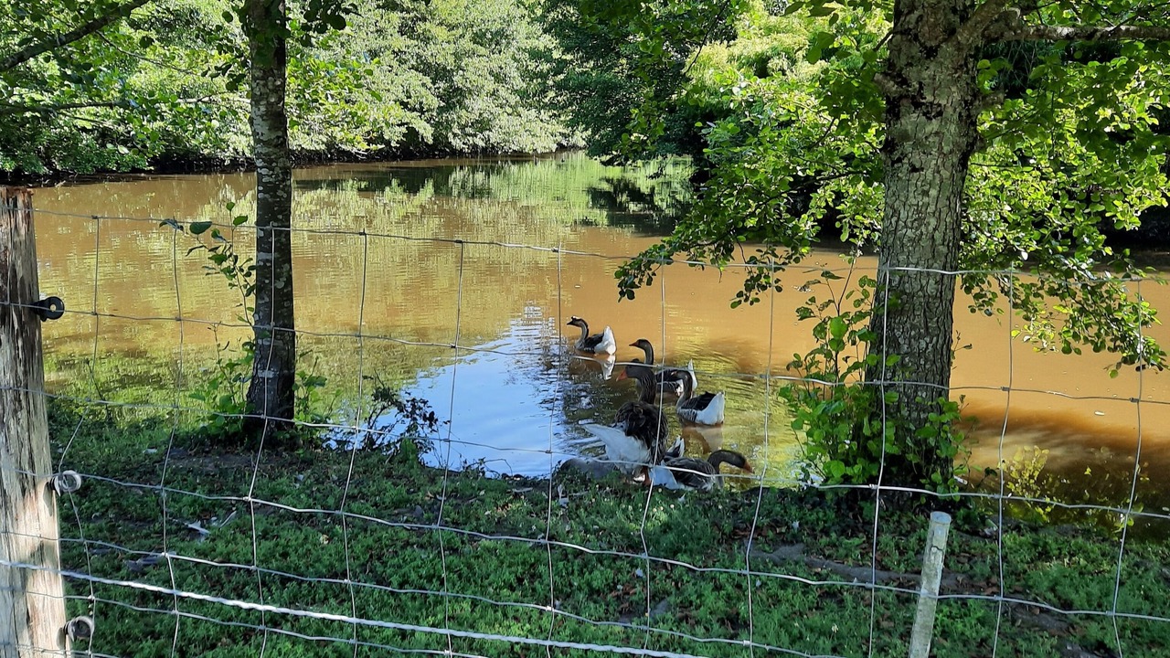 Photo of Outdoor in Grosbreuil