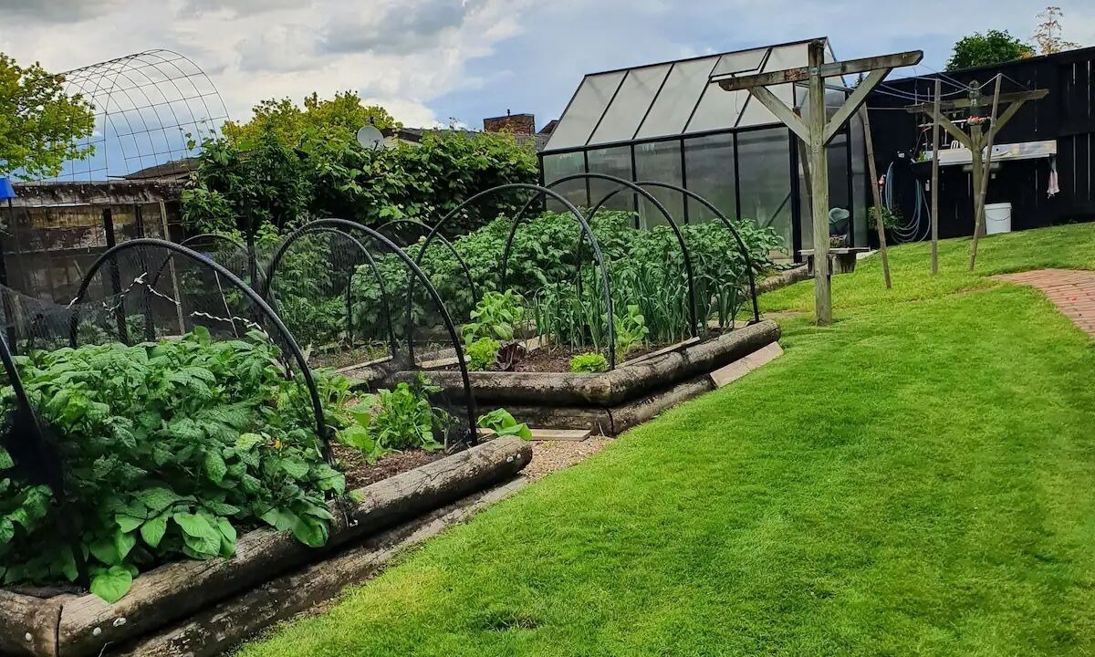 Photo of Outdoor in Matamata