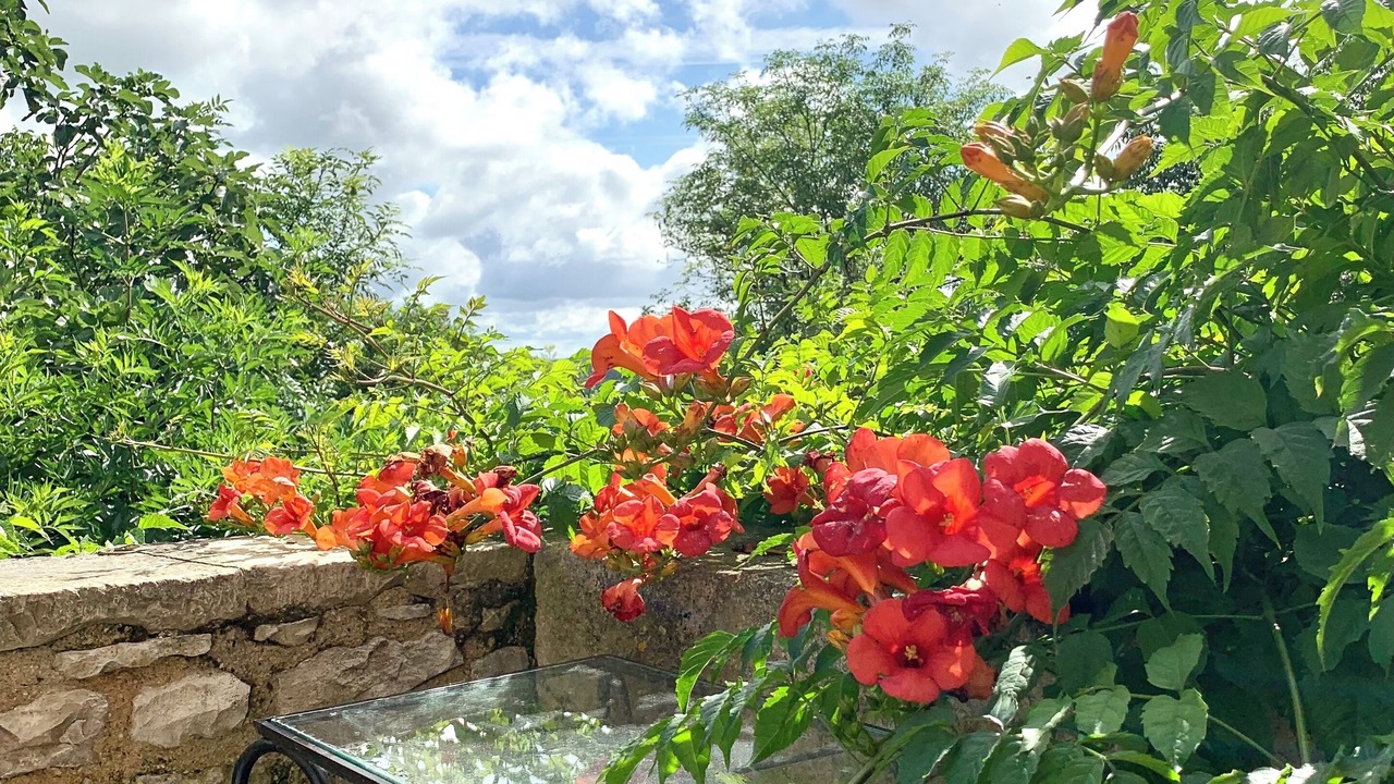 Photo of Outdoor in Saint-Antonin Noble Val