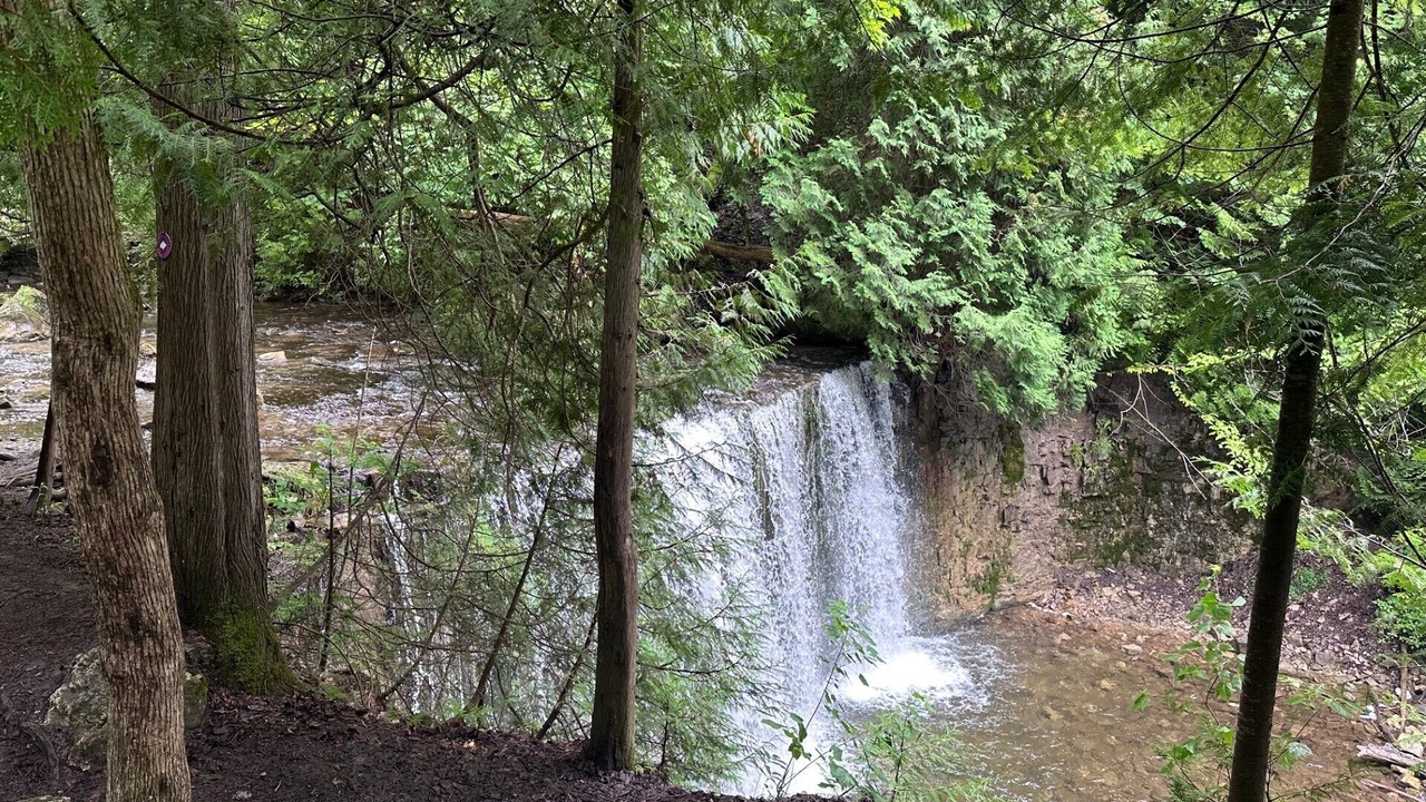 Photo of Others in Flesherton