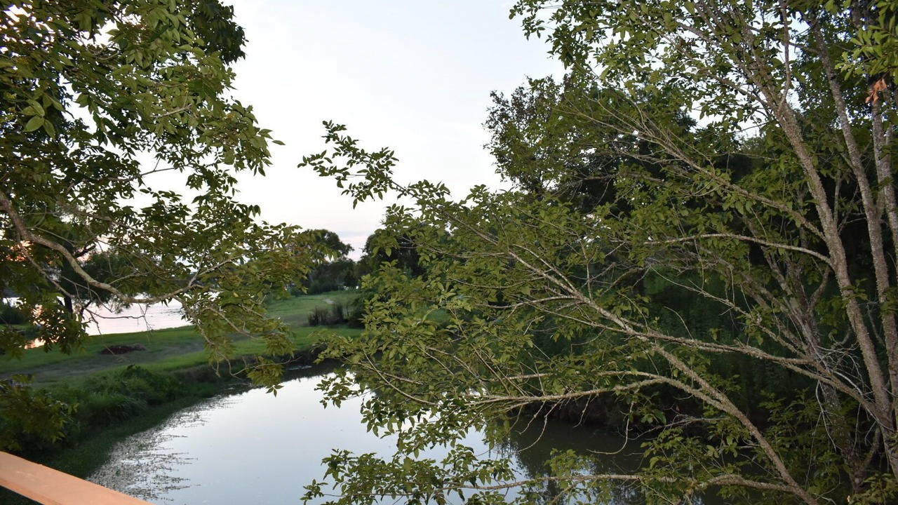 Photo of Others in Willis