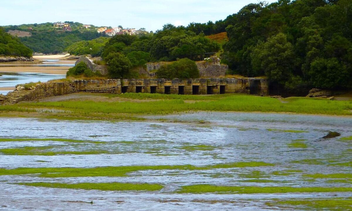 Photo of Others in Bareyo